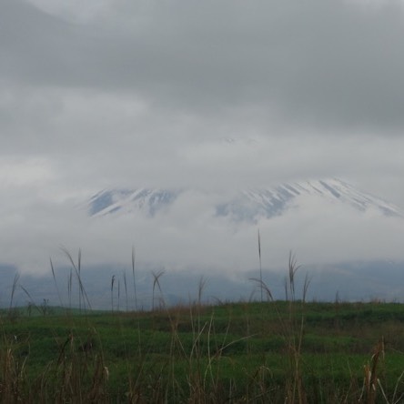 [本州]見山不是山